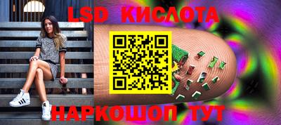 шишки Свободный