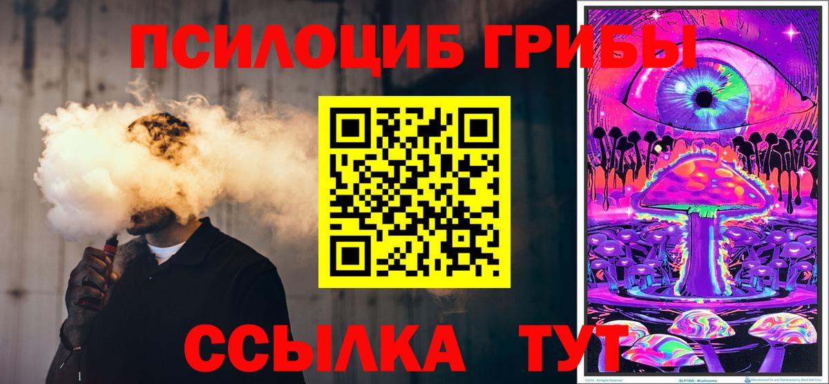 купить  сайты  Вход с VPN  Сальск  Псилоцибиновые грибы прущие грибы 
